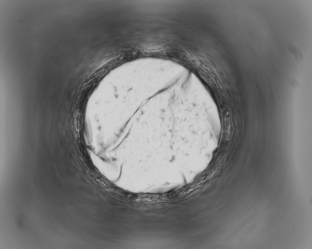 X0000111191301200908121039