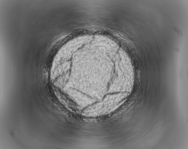 X0000111191302200908121039