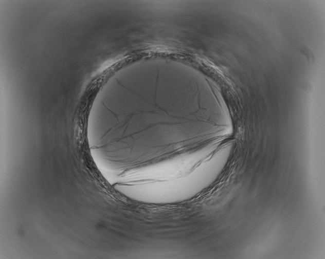 X0000111191303200908121039