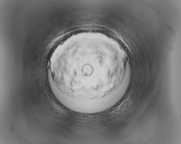 X0000111191304200908121039