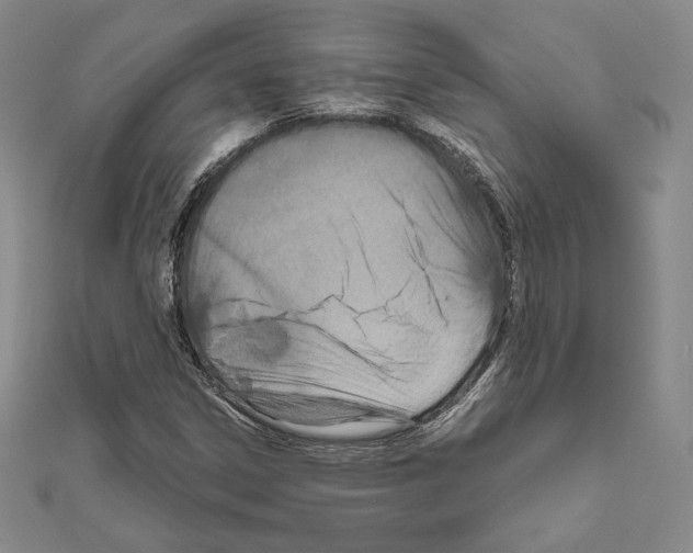 X0000111191306200908121039