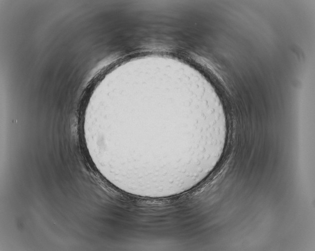 X0000111191307200908121039