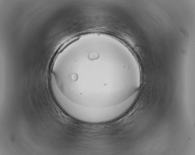 X0000111191308200908121039