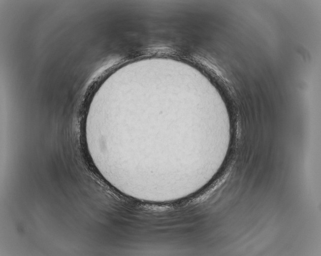 X0000111191309200908121039