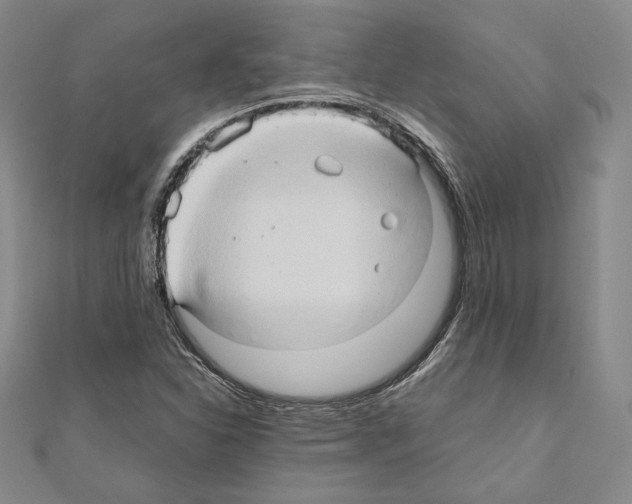 X0000111191310200908121039