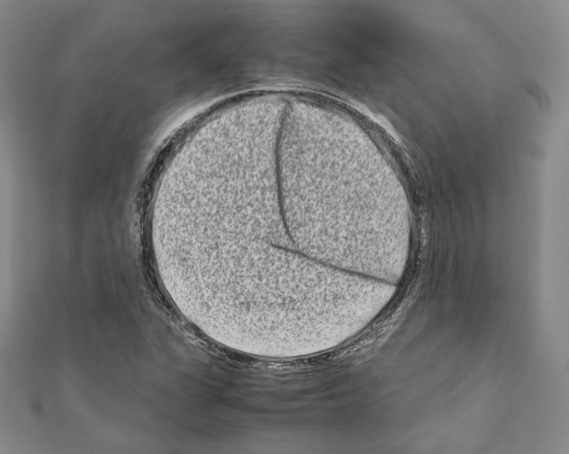 X0000111191311200908121039