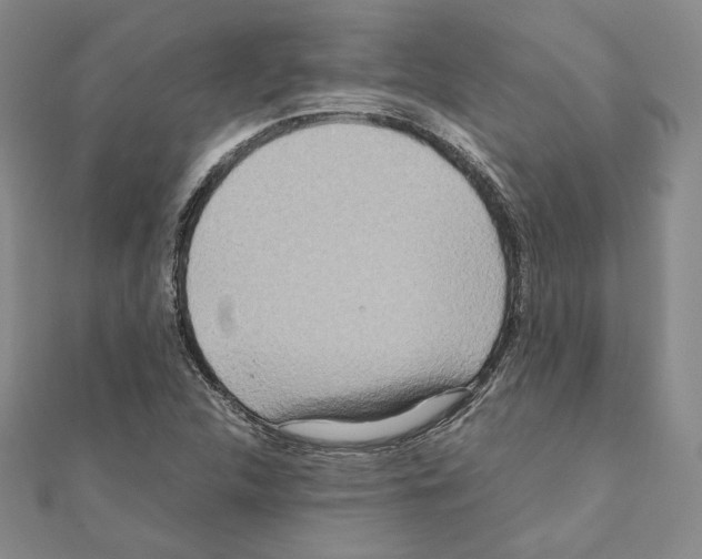 X0000111191312200908121039