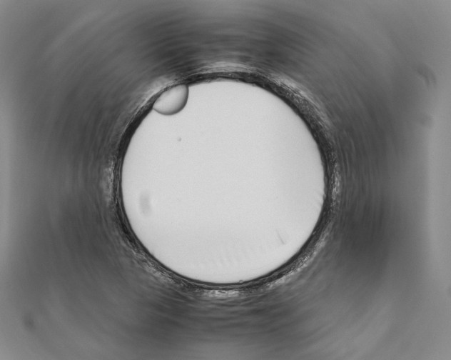 X0000111191313200908121039