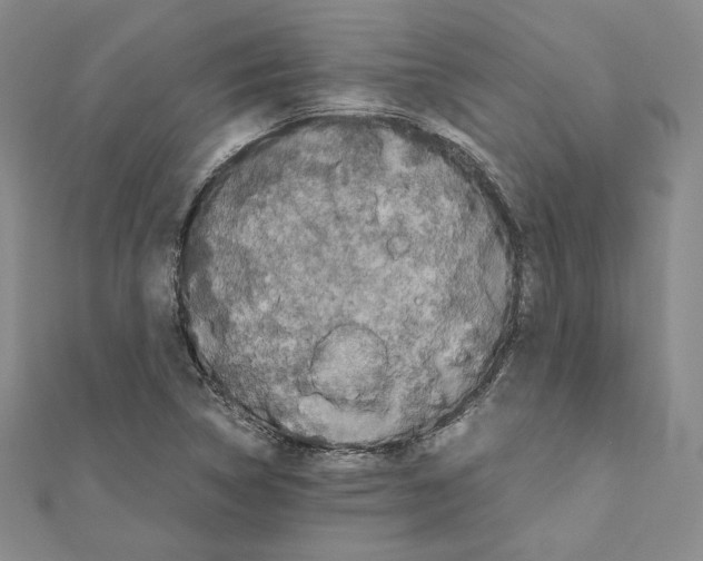 X0000111191314200908121039
