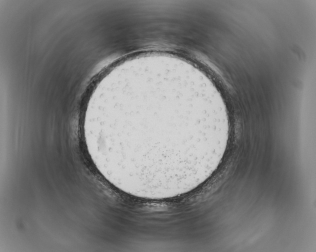 X0000111191315200908121039