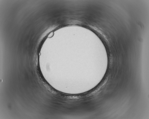 X0000111191317200908121039