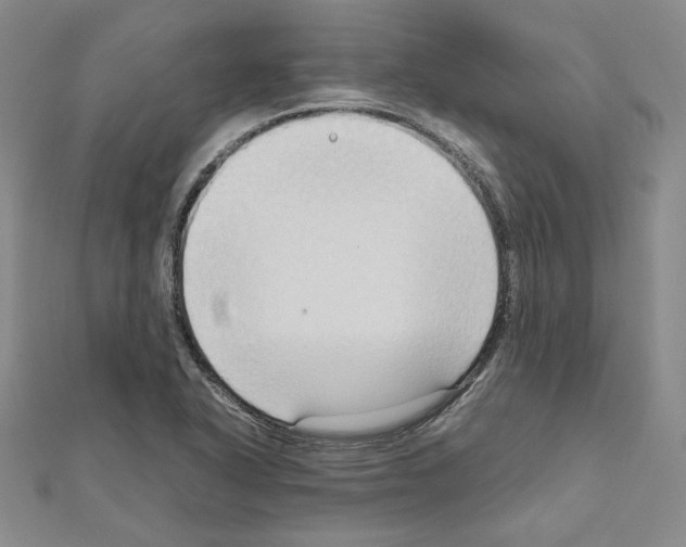 X0000111191318200908121039