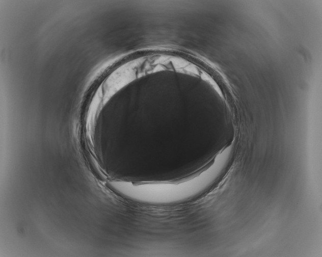 X0000111191319200908121039