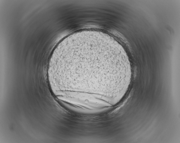 X0000111191321200908121039