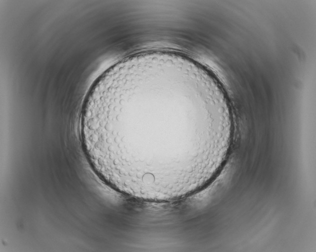 X0000111191322200908121039