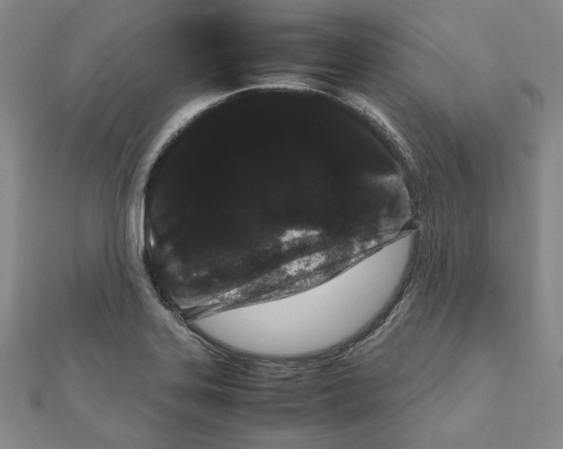 X0000111191323200908121039