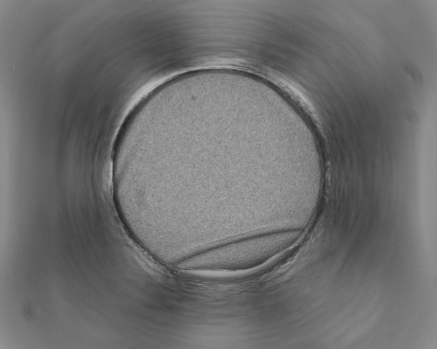 X0000111191324200908121039
