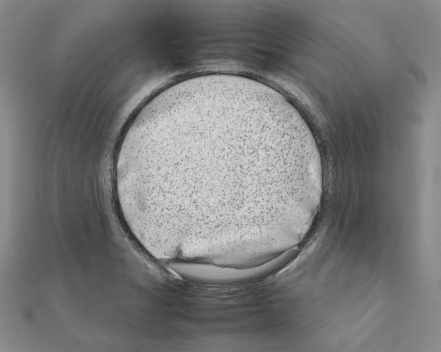 X0000111191325200908121039