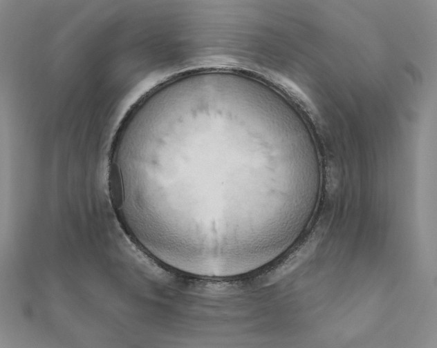 X0000111191326200908121039