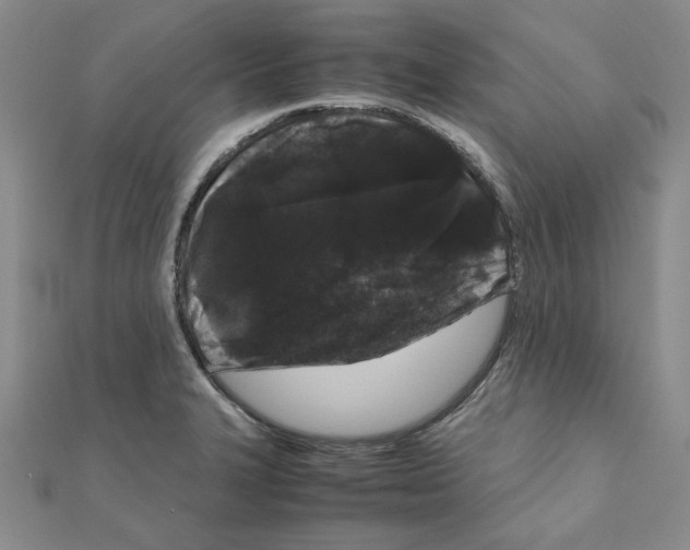 X0000111191327200908121039