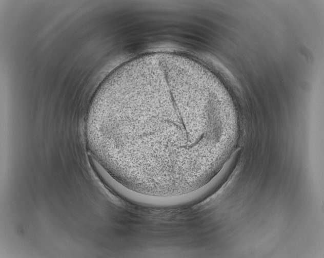 X0000111191329200908121039