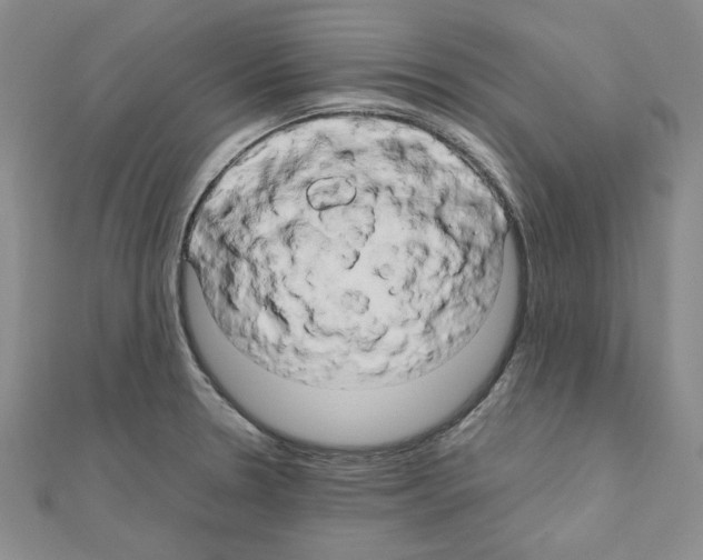 X0000111191330200908121039