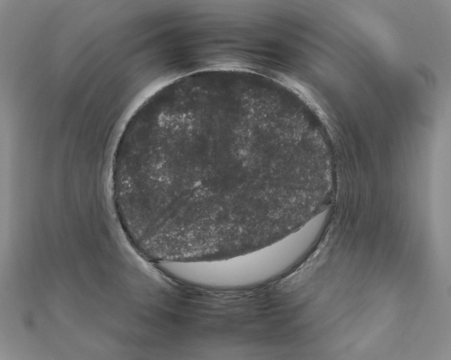 X0000111191331200908121039