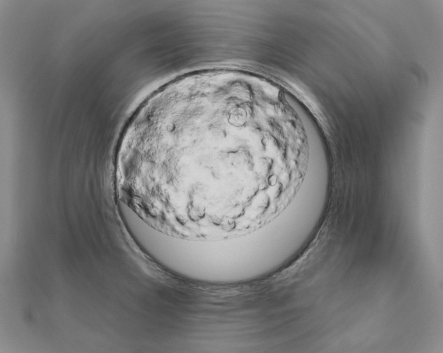 X0000111191332200908121039