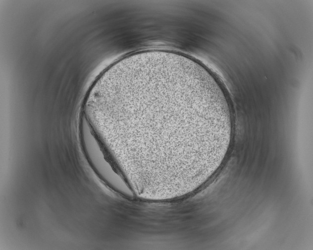 X0000111191333200908121039