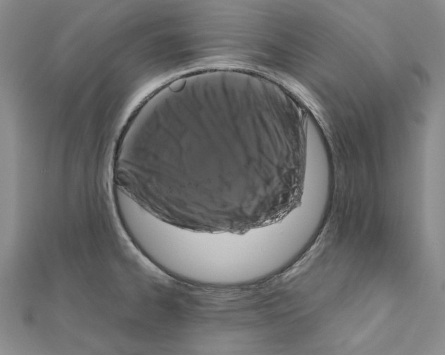 X0000111191334200908121039
