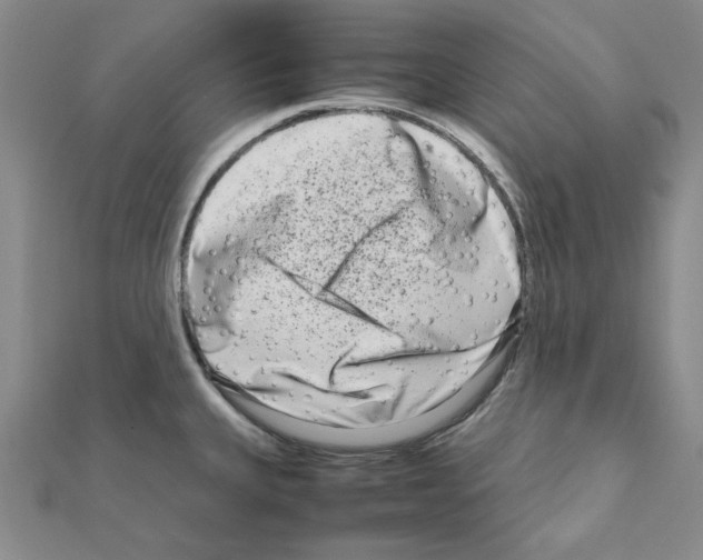 X0000111191335200908121039