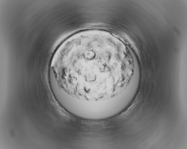 X0000111191336200908121039