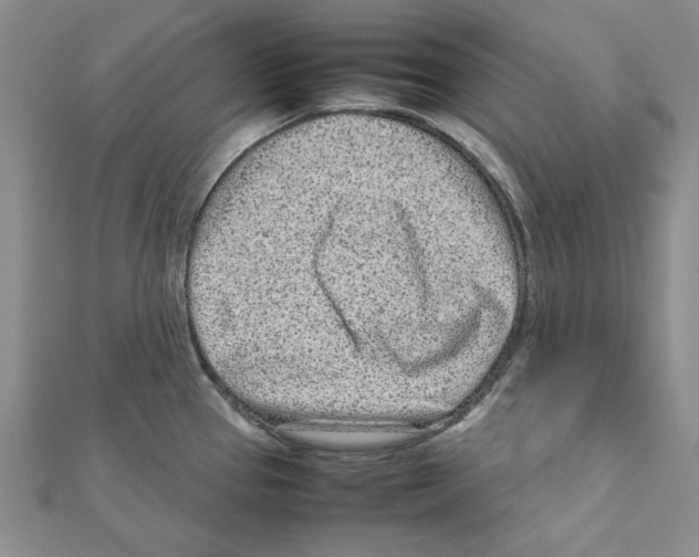 X0000111191337200908121039