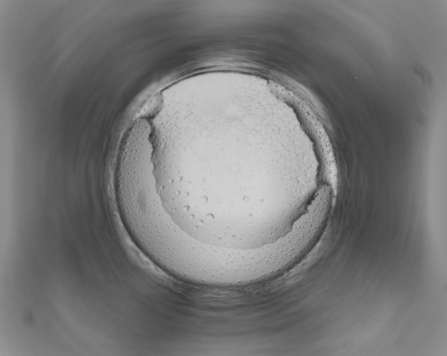 X0000111191338200908121039