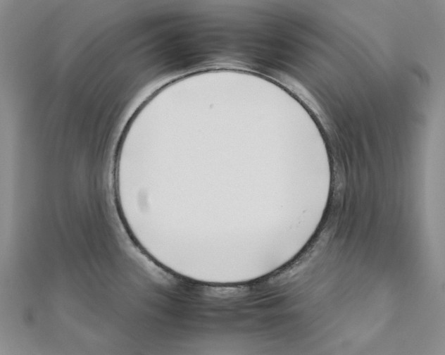 X0000111191339200908121039