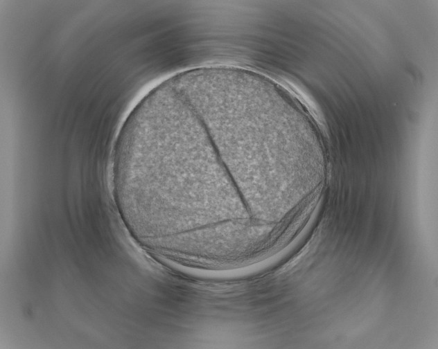 X0000111191340200908121039