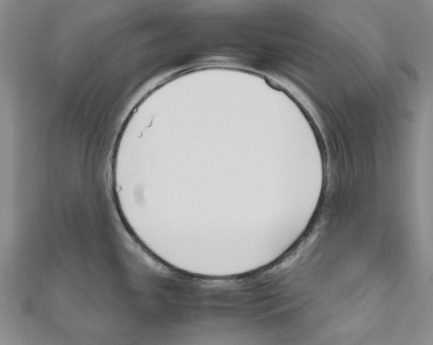 X0000111191341200908121039