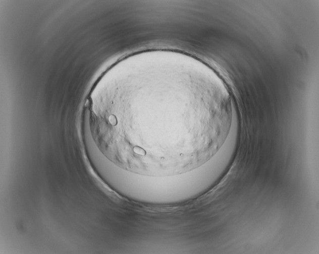 X0000111191342200908121039