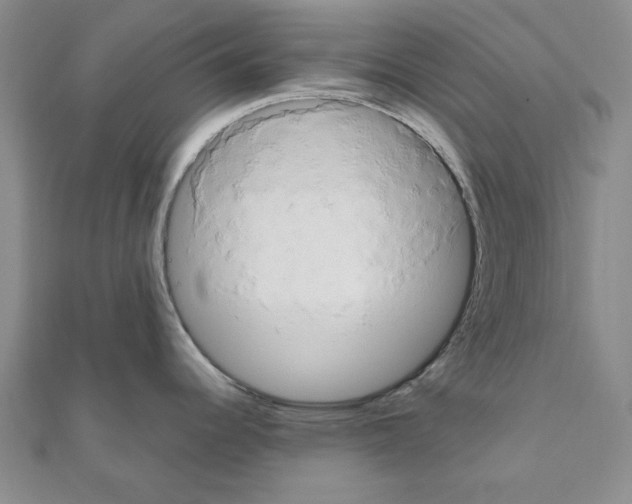 X0000111191344200908121039