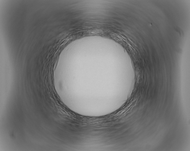X0000111191345200908121038