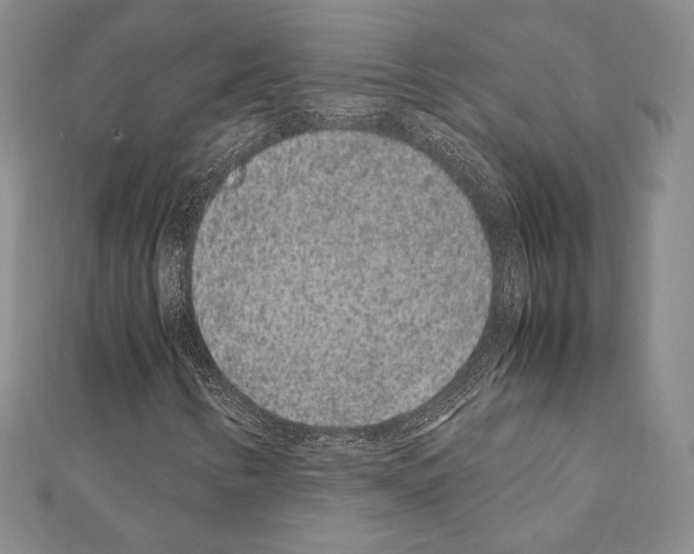X0000111191346200908121038