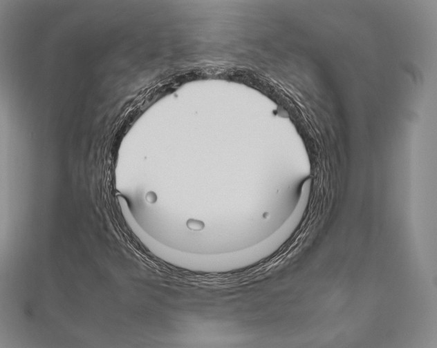 X0000111191349200908121038
