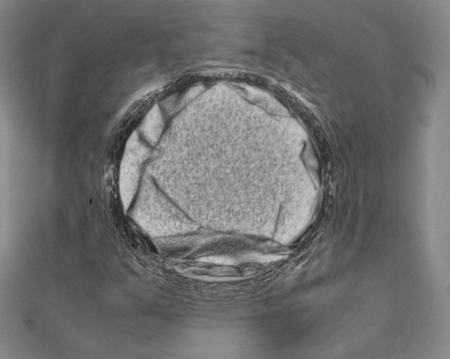 X0000111191351200908121038