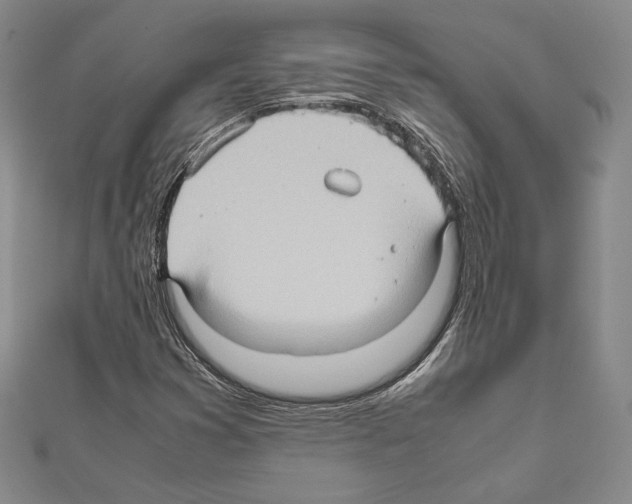 X0000111191353200908121038