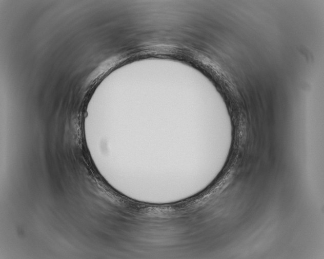 X0000111191354200908121038