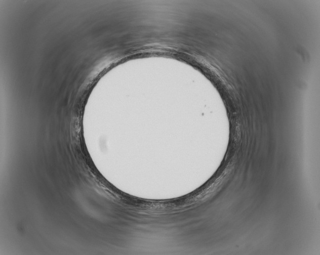 X0000111191355200908121038