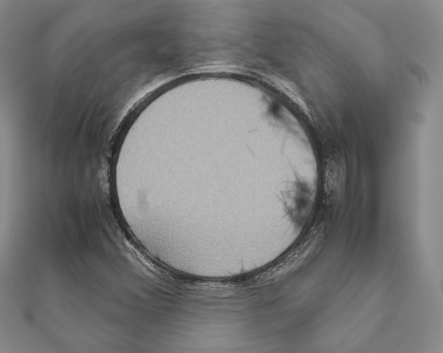 X0000111191356200908121038