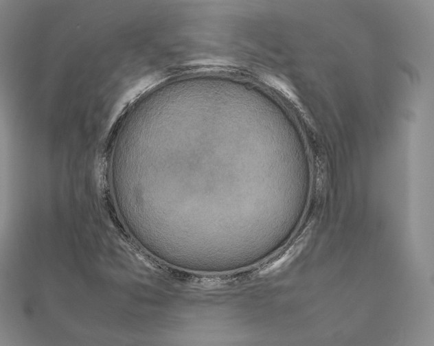 X0000111191357200908121038