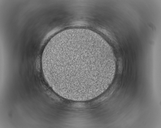 X0000111191358200908121038