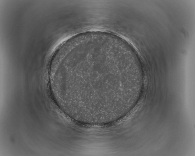 X0000111191359200908121038